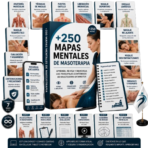 Kit +250 Mapas Mentales de Masoterapia